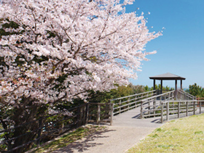 春のおすすめ福岡観光情報